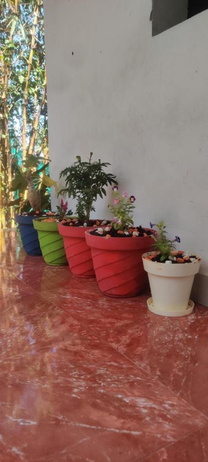 Mahabs Homestay Villa Махабалипурам Екстериор снимка